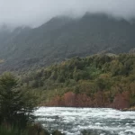 Con música y actividades celebrarán centenario del parque nacional más antiguo de Chile