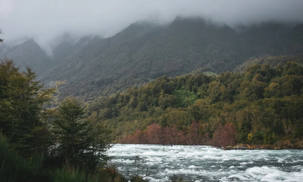 Con música y actividades celebrarán centenario del parque nacional más antiguo de Chile