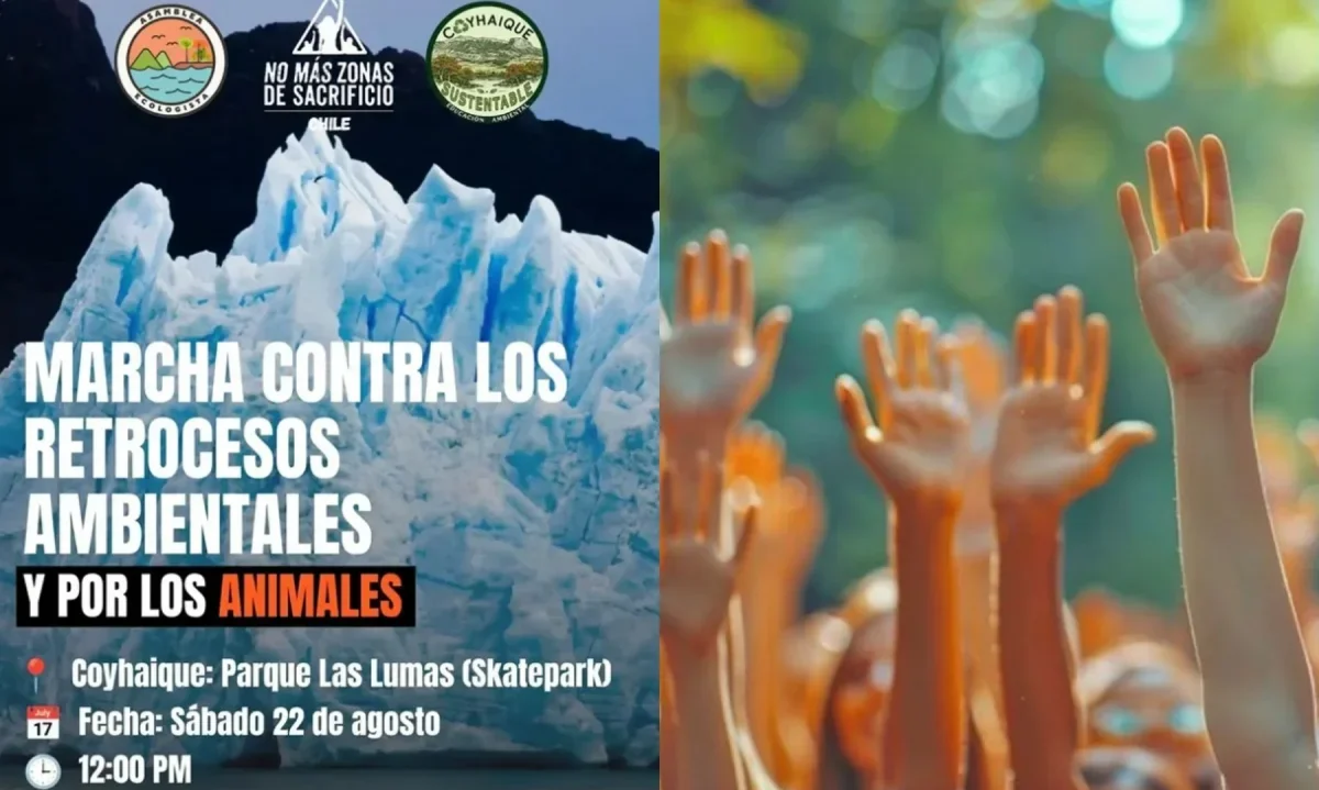 Convocan a marcha nacional por el medio ambiente y los animales