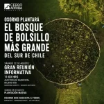 Convocan a reunión para crear el bosque de bolsillo más grande del sur en Osorno