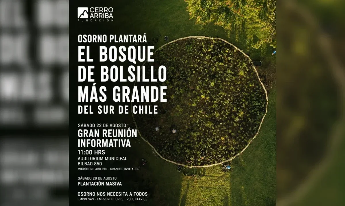 Convocan a reunión para crear el bosque de bolsillo más grande del sur en Osorno