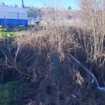 Denuncian vertimiento de aguas servidas al río Damas en Osorno