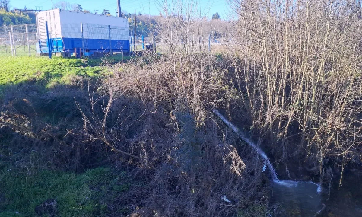 Denuncian vertimiento de aguas servidas al río Damas en Osorno