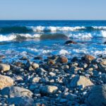 El Mediterráneo afronta su mayor desafío ambiental entre plásticos, calor extremo y pérdida de biodiversidad – ECOticias.com