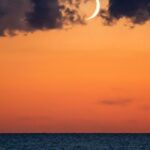 El eclipse solar cambiará el comportamiento de los animales marinos en pleno Mediterráneo