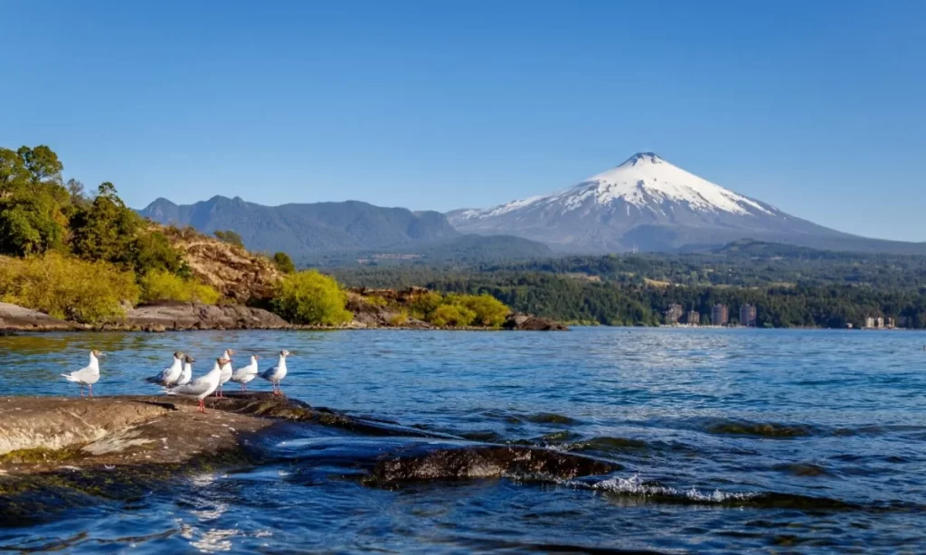 Entra en vigencia histórico plan de descontaminación del lago Villarrica