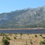 España impulsa las renovables innovadoras con almacenamiento mediante 524 proyectos estratégicos – ECOticias.com