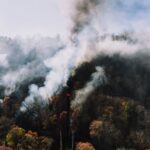 España tiene más bosques pero afronta incendios cada vez más extremos: la paradoja que obliga a cambiar la prevención – ECOticias.com