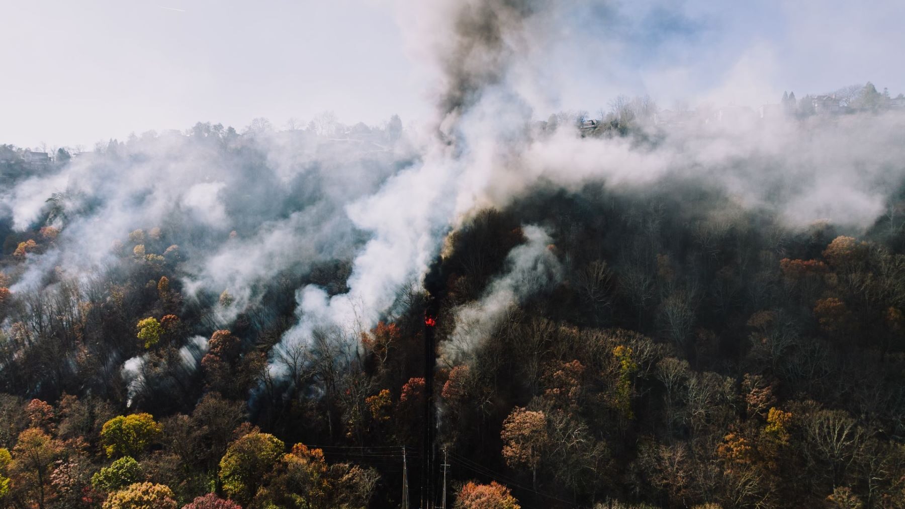 España tiene más bosques pero afronta incendios cada vez más extremos: la paradoja que obliga a cambiar la prevención – ECOticias.com