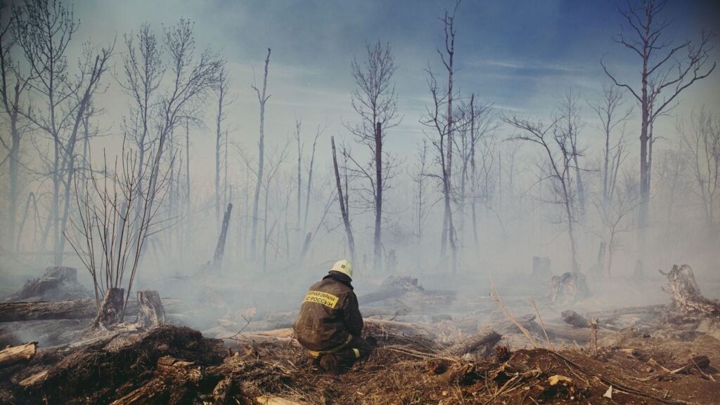 Europa se enfrenta a una era de megaincendios: el fuego podría arrasar un 192 % más de territorio – ECOticias.com