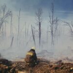 Europa se enfrenta a una era de megaincendios: el fuego podría arrasar un 192 % más de territorio – ECOticias.com