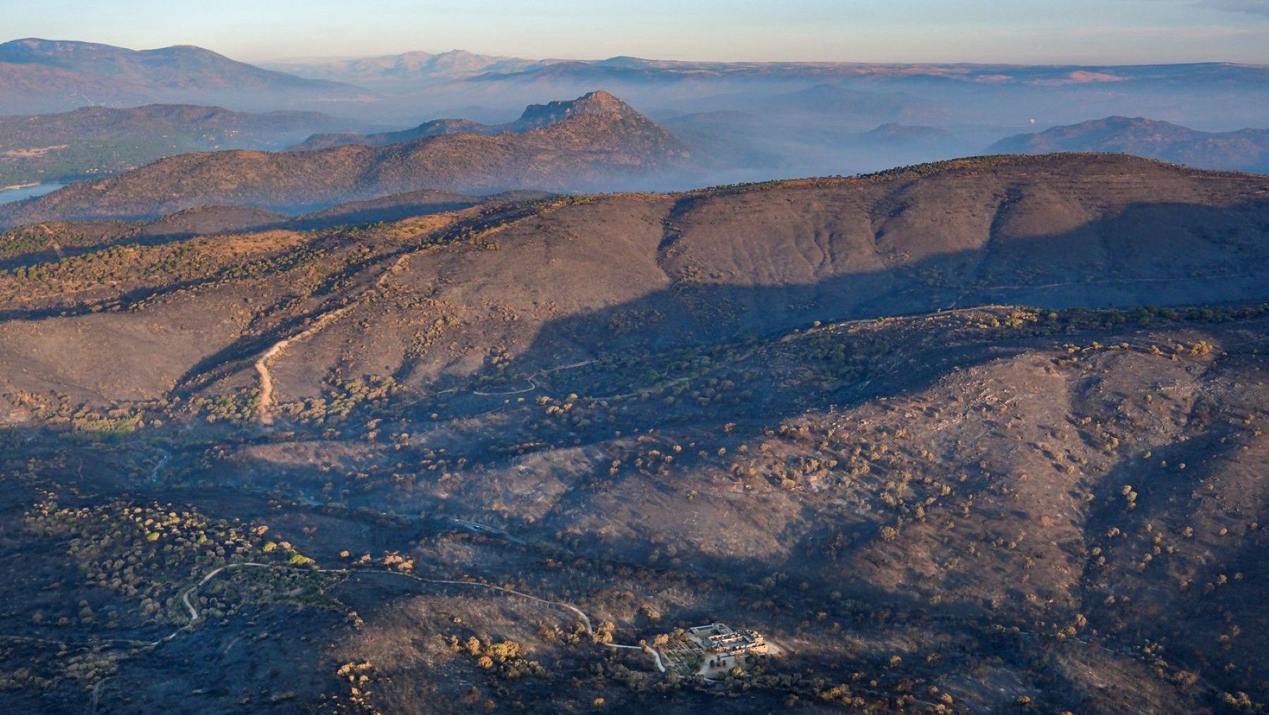 Greenpeace alerta del desastre tras los incendios históricos en España y reclama un cambio urgente de estrategia – ECOticias.com