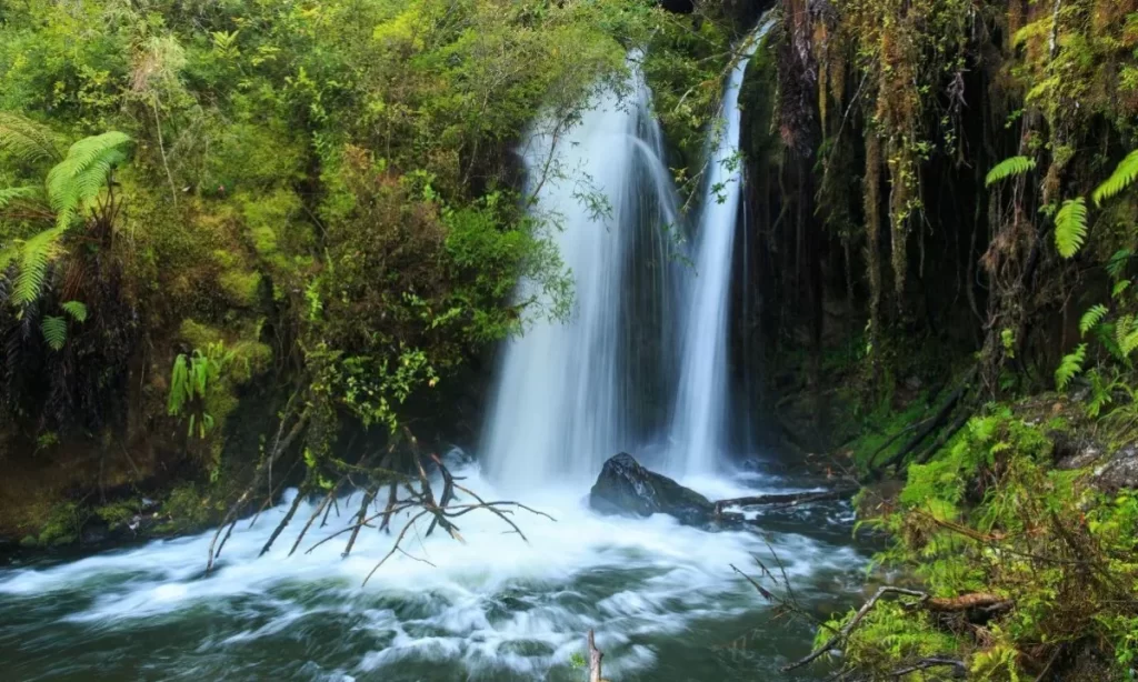 Impulsan proyecto para medir ADN ambiental y huella de turismo en Los Lagos