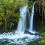 Impulsan proyecto para medir ADN ambiental y huella de turismo en Los Lagos