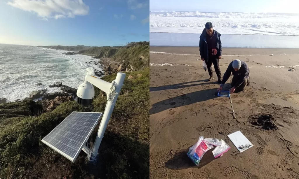 Instalan sistema de vigilancia costera para fortalecer conservación de refugio marino en Corral