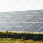 La expansión de la energía solar reduce la biodiversidad de aves en China – ECOticias.com