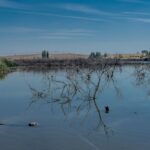 Las Tablas de Daimiel mantienen 850 hectáreas inundadas en verano tras su gran recuperación – ECOticias.com