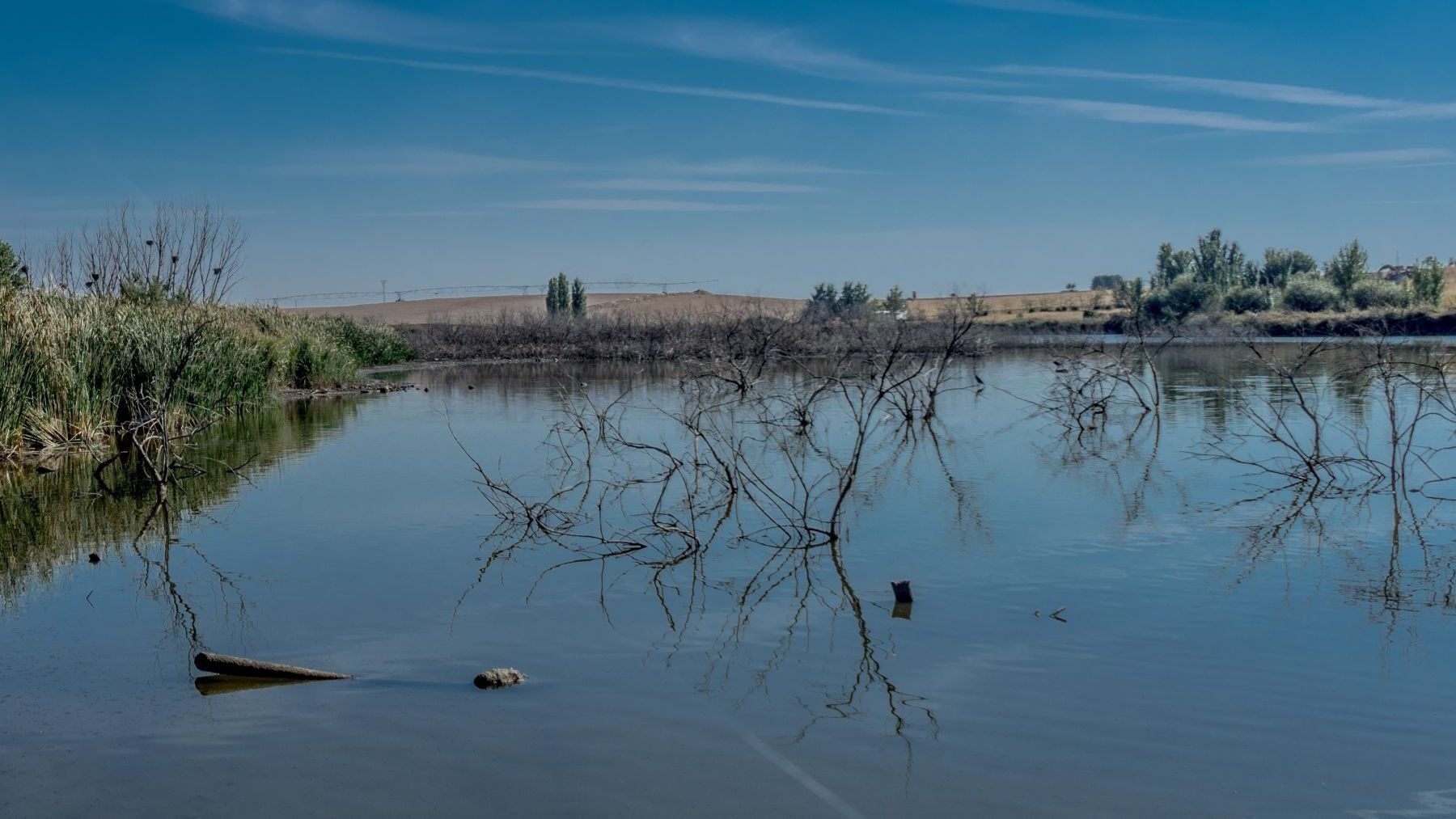 Las Tablas de Daimiel mantienen 850 hectáreas inundadas en verano tras su gran recuperación – ECOticias.com