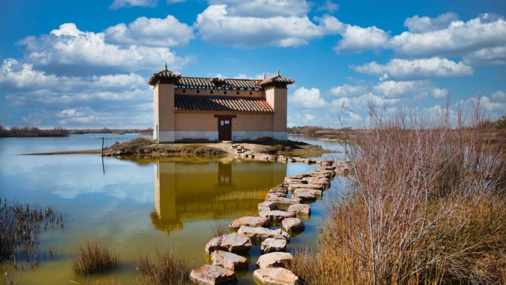 Las lluvias intensas pueden recargar el acuífero de Doñana y cambiar su futuro ante el cambio climático – ECOticias.com