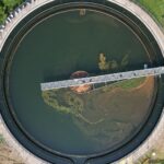 Las microalgas convierten aguas residuales en biomasa a la carta para producir fertilizantes y biocombustibles