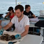 Las ostras del Mar Menor superan el primer test del verano y dan esperanza a la recuperación de la laguna – ECOticias.com