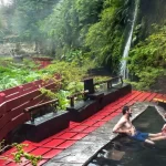 Los Ríos invita a disfrutar de sus termas y experiencias de naturaleza en agosto