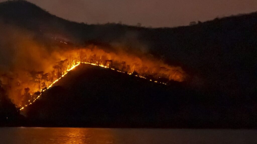 Los incendios arrasan los bosques del Líbano: autoridades locales acusan a Israel de provocar los fuegos – ECOticias.com