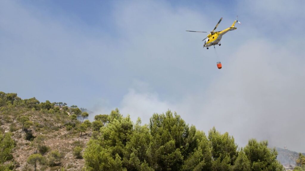 Los incendios forestales mantienen a España en máxima alerta: más de 39.000 hectáreas arrasadas en Huelva y Huesca – ECOticias.com