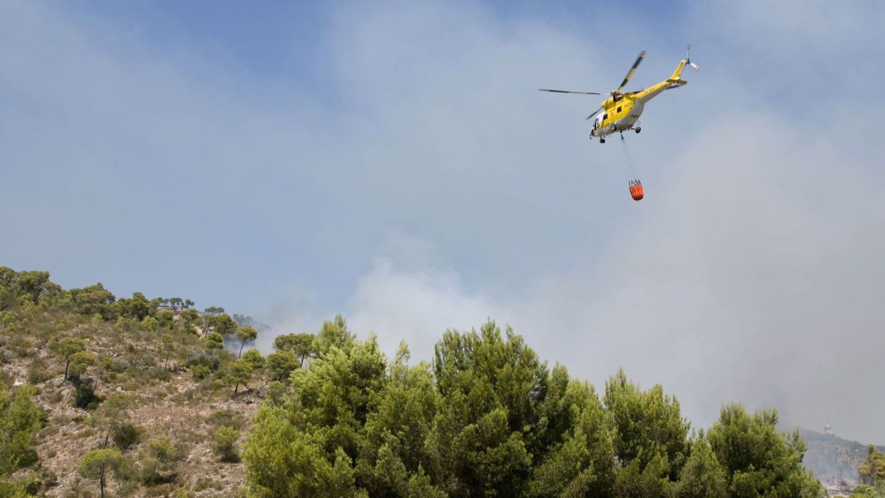 Los incendios forestales mantienen a España en máxima alerta: más de 39.000 hectáreas arrasadas en Huelva y Huesca – ECOticias.com