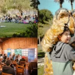 Más de 4 mil personas disfrutaron de Güiña Fest en el Biobío