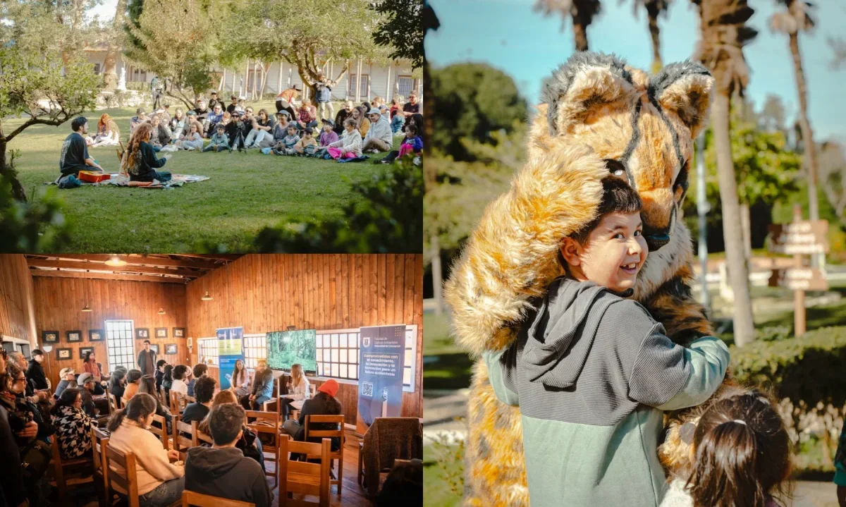 Más de 4 mil personas disfrutaron de Güiña Fest en el Biobío