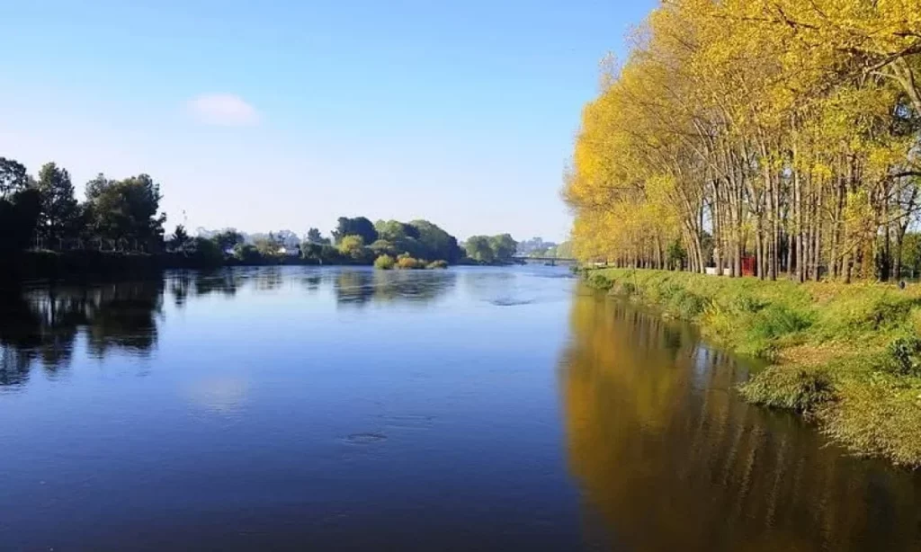 Piden acelerar elaboración de norma ambiental para ríos Rahue y Damas