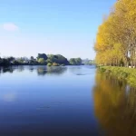 Piden acelerar elaboración de norma ambiental para ríos Rahue y Damas