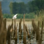 Valdivia será sede del primer Foro Regional de Turismo Sostenible