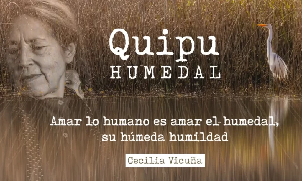 Artista nacional llega a Valdivia para protagonizar acto poético en torno a los humedales