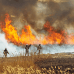Bomberos forestales todo el año: Narbona reclama prevenir antes del verano