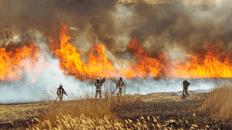 Bomberos forestales todo el año: Narbona reclama prevenir antes del verano
