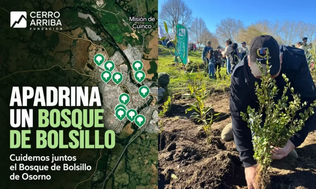 Campaña invita a apadrinar los bosques de bolsillo en Osorno
