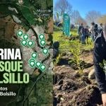 Campaña invita a apadrinar los bosques de bolsillo en Osorno