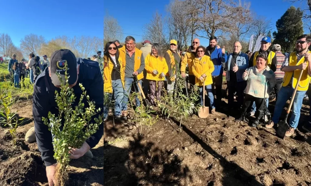 Casi 700 personas se sumaron a plantación del bosque de bolsillo más grande del sur