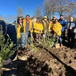 Casi 700 personas se sumaron a plantación del bosque de bolsillo más grande del sur