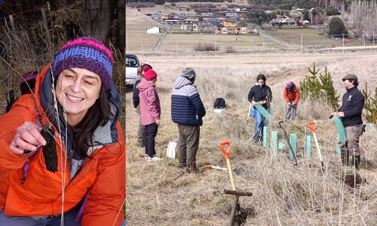 Con casi 200 ejemplares de ñirre comienza plan de restauración nativa en Coyhaique