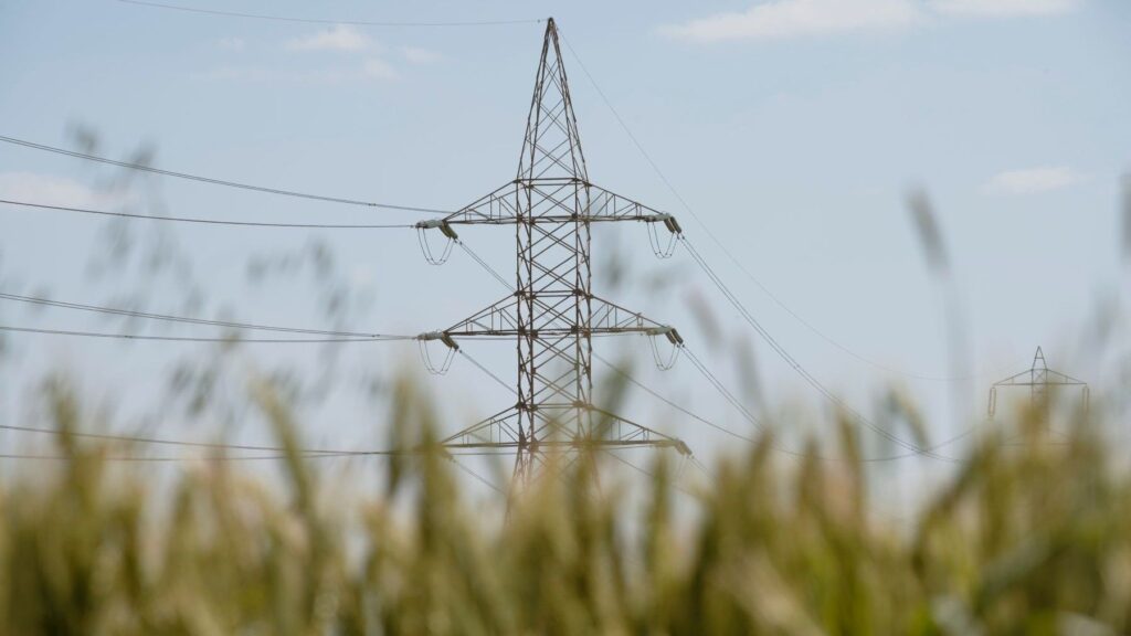 Costes energéticos del sector ecológico: la amenaza crece