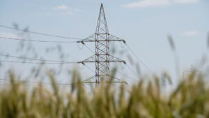 Costes energéticos del sector ecológico: la amenaza crece