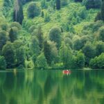 Día Mundial de la Salud Ambiental 2026 y el reto de proteger nuestra salud