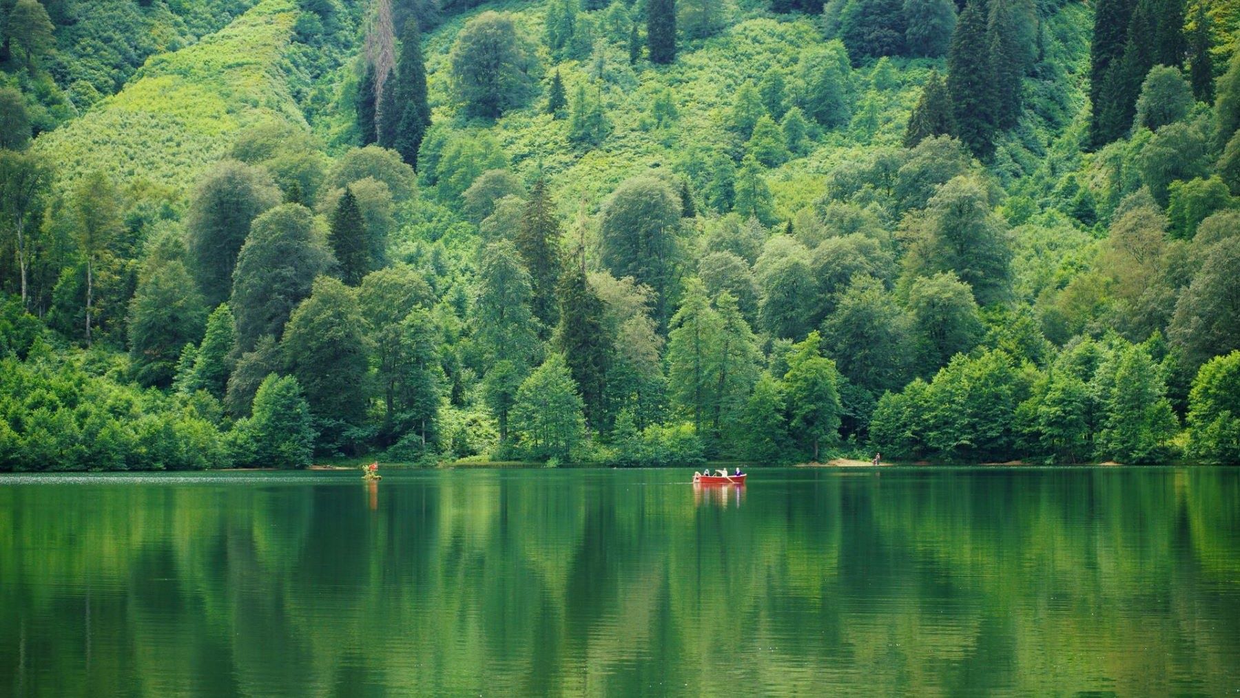 Día Mundial de la Salud Ambiental 2026 y el reto de proteger nuestra salud