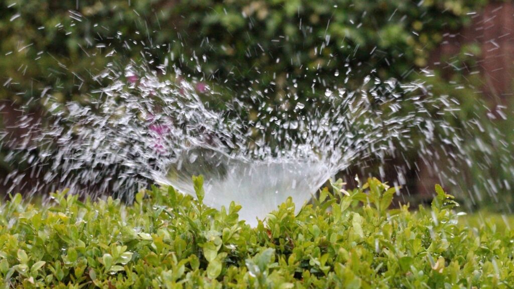 El robo de agua en Doñana cambia de mapa: más de 3.000 hectáreas mantienen la presión sobre el acuífero