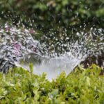 El robo de agua en Doñana cambia de mapa: más de 3.000 hectáreas mantienen la presión sobre el acuífero
