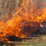 España roza las 300.000 hectáreas quemadas por incendios en 2026