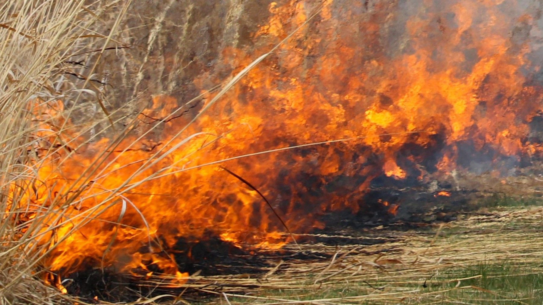 España roza las 300.000 hectáreas quemadas por incendios en 2026